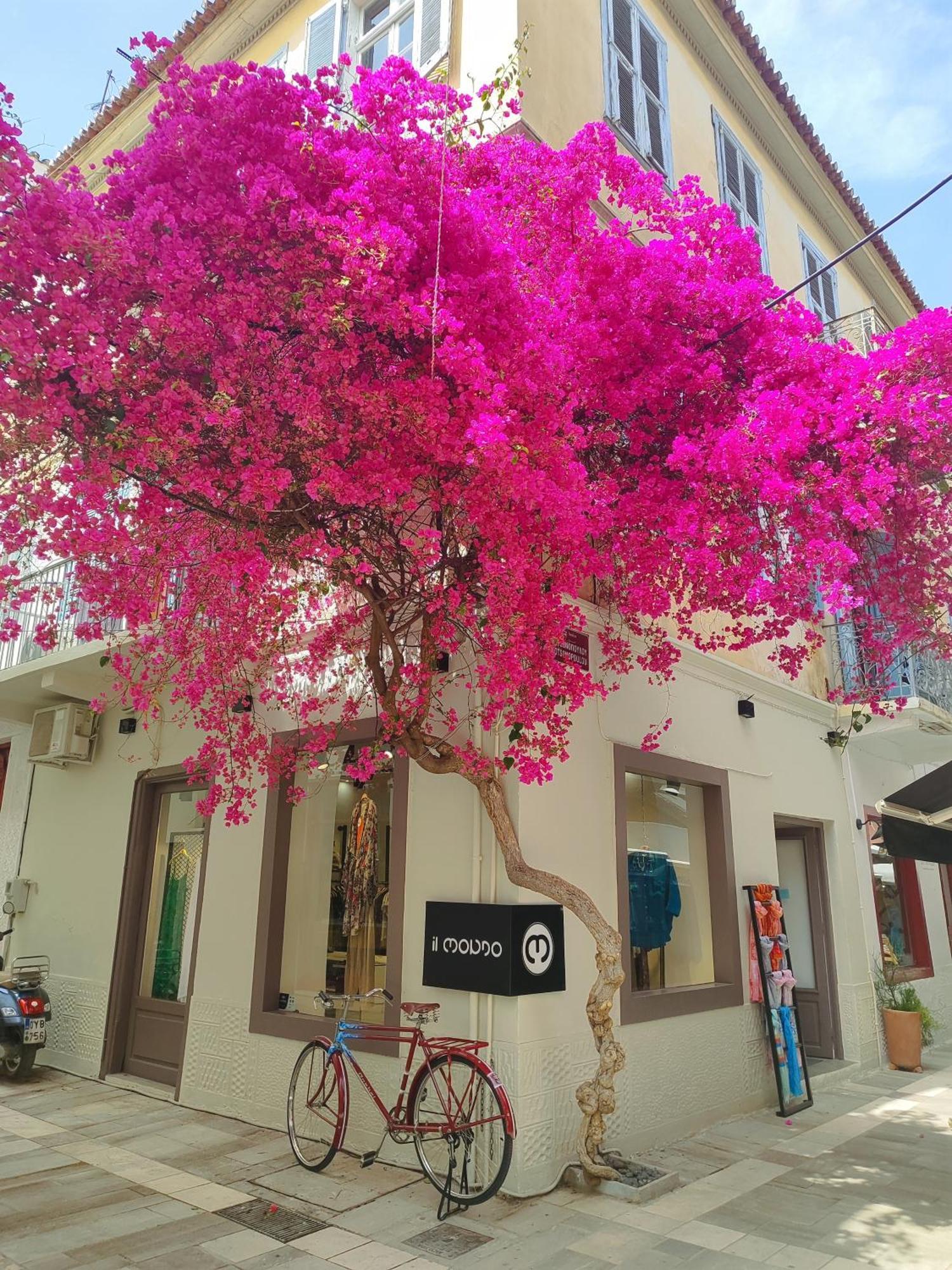 Levantes Superior Suite. Nafplio Eksteriør billede