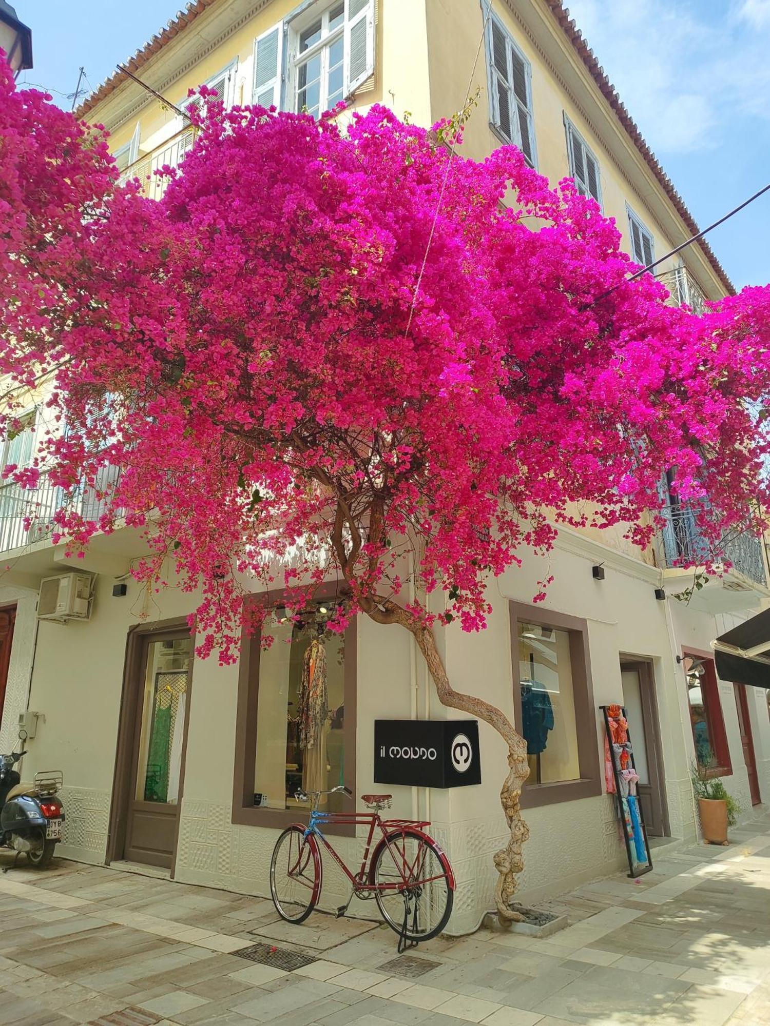 Levantes Superior Suite. Nafplio Eksteriør billede